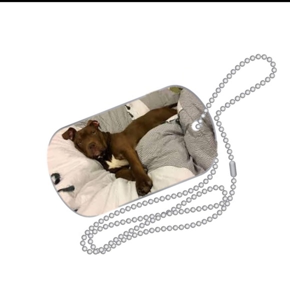 Army dog tag with any pic u want on it n background too - Picture 6 of 6